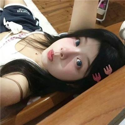 29片棕榈叶